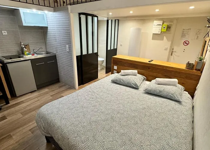 Charming Studio For 2 Guests Quai De Saone